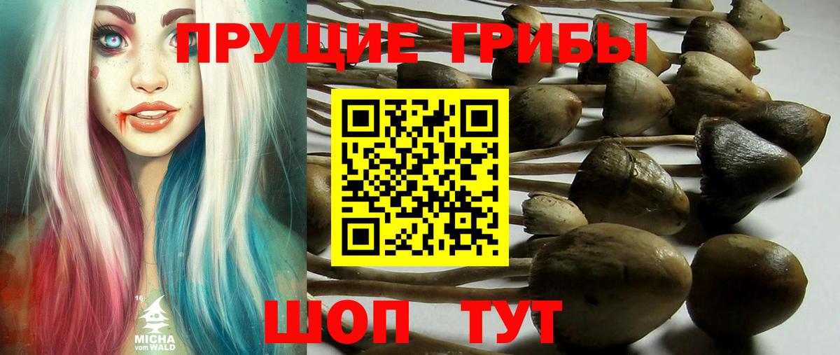 Галлюциногенные грибы мицелий  Вход с VPN  Костомукша 